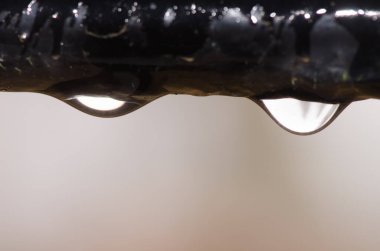 Su bir pencerenin altına damlıyor. Cruz de Pajonales. Tejeda. Büyük Kanarya. Kanarya Adaları. İspanya.