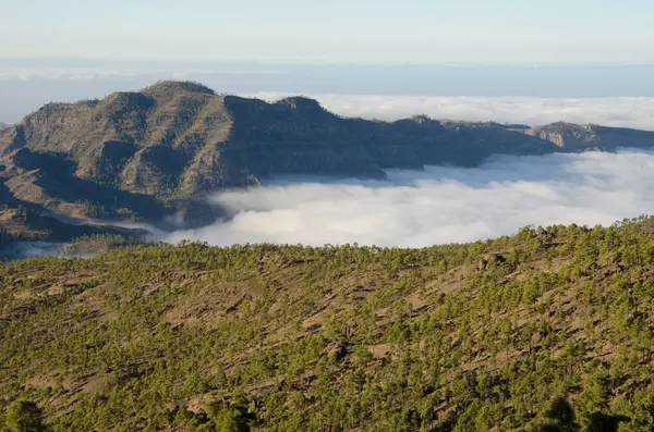 Integral Doğal Entegrasyon Rezervi, Bulutlar denizi ve Tauro Dağı. Mogan. Büyük Kanarya. Kanarya Adaları. İspanya.