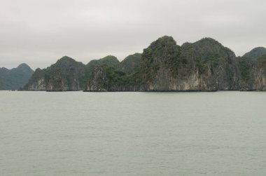 Lan Ha Bay 'deki kireçtaşı kayalıkları. Kedi Ba Takımadası. Vietnam.