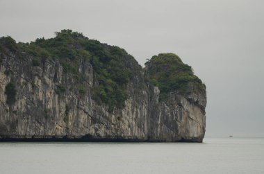 Lan Ha Körfezi 'ndeki kireçtaşı kayalığı. Kedi Ba Takımadası. Vietnam.