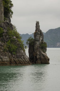 Lan Ha Körfezi 'ndeki kireçtaşı kayalığı. Kedi Ba Takımadası. Vietnam.