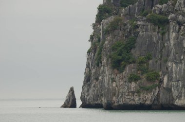 Lan Ha Körfezi 'ndeki kireçtaşı kayalığı. Kedi Ba Takımadası. Vietnam.