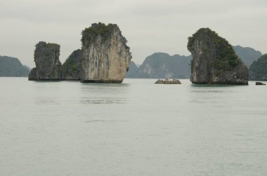 Lan Ha Bay 'deki kireçtaşı kayalıkları. Kedi Ba Takımadası. Vietnam.