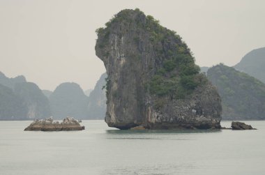 Lan Ha Bay 'deki kireçtaşı kayalıkları. Kedi Ba Takımadası. Vietnam.