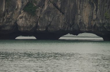 Deniz çentikleri mağaraları. Ian Ha Bay. Kedi Ba Takımadası. Vietnam.