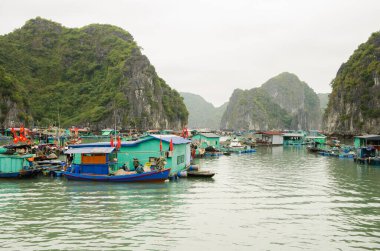 25 Şubat 2024, Lan Ha Bay: Yüzen balıkçı köyü. Kedi Ba Takımadası. Vietnam.