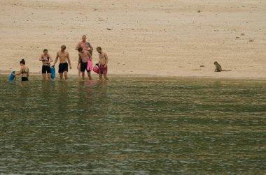 25 Şubat 2024, Maymun Adası Rhesus Macaca Mulatta ve sahildeki bir grup insan. Kedi Ba Takımadası. Vietnam.