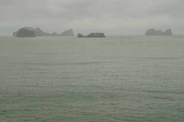 Lan Ha Bay 'deki kireçtaşı kayalıkları. Kedi Ba Takımadası. Vietnam.