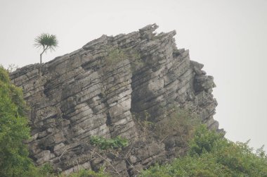 Cat Ba Adası 'ndaki kayalık uçurum. Kedi Ba Takımadası. Vietnam.