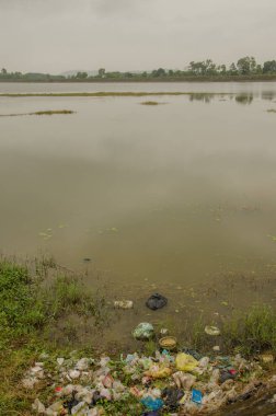 Lagündeki çöpler. Van Long Wetland Doğa Koruma Alanı. Gia Vien Bölgesi. Ninh Binh Eyaleti. Vietnam.