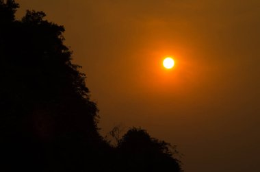 Doğulu bahçe kertenkelesi Calotes versicolor. Phong Nha. Quang Binh Eyaleti. Vietnam.
