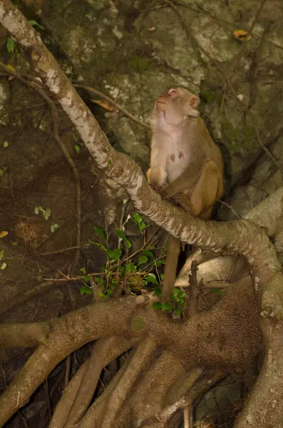 HD formatda porno kastinglar