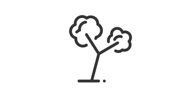 Árvore Ícone Animado Fundo Branco — Vídeo de Stock