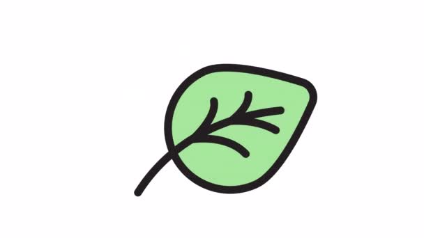 Leaf Spring Animerad Ikon Transparent Bakgrund — Stockvideo