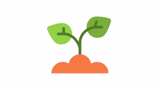 Sprout Spring Animated Icon Transparent Background — Stock Video