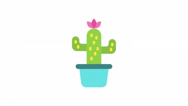 Cactus 透明背景下的Spring动画图标 — 图库视频影像