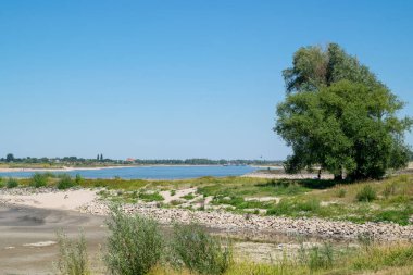 Nijmegen, Hollanda, 11 Ağustos 2022: Waal nehri üzerindeki sahil küresel ısınma nedeniyle kurudu