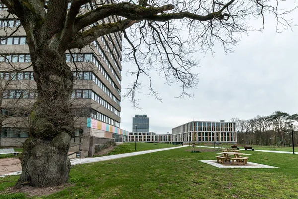 Nijmegen Niederlande April 2023 Das Spinoza Gebäude Der Radboud Universität — Stockfoto