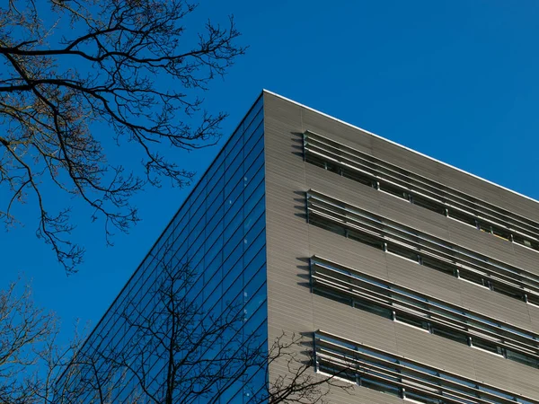 Edifício Escritório Azul Moderno Atrás Árvores — Fotografia de Stock
