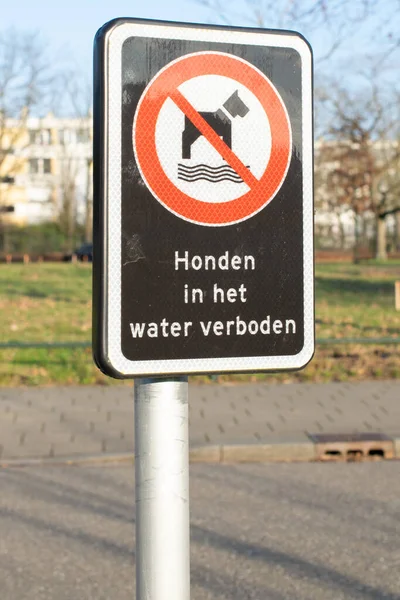 Holenderski Znak Mówi Psy Nie Mogą Wchodzić Wody — Zdjęcie stockowe