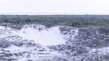 Schiermonnikoog 'daki kum tepelerinde Hollanda' daki Wadden Adası 'nda