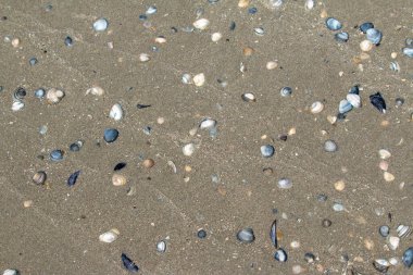 Frizya adasındaki denizin arka plan görüntüsü, Avrupa 'daki plajlar