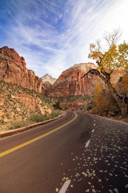 Sersemletici kaya oluşumları ve Zion Ulusal Parkı 'nın doğal güzellikleri arasından geçen yol açık mavi gökyüzü altında canlı sonbahar renkleri sergiliyor. Açık hava meraklıları için nefes kesici bir manzara sunuyor.