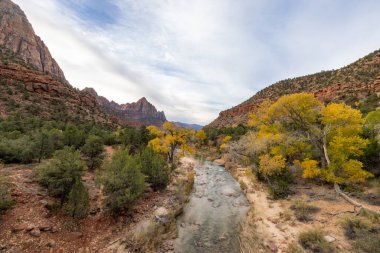 Utah 'taki Zion Ulusal Parkı' nın dingin cazibesini yaşayın. Sonbaharda canlı yeşillikler arasında kayalık kanyonlarda süzülen sakin bir nehir. Bu doğal vahanın huzurlu güzelliğinin tadını çıkar.