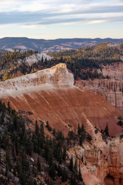 Nefes kesici fotoğraf, Bryce Canyon Ulusal Parkı, Utah 'ta bir ağaç zeminine karşı canlı turuncu ve beyaz renklerin yer aldığı dikkate değer bir kaya oluşumunu gözler önüne seriyor.