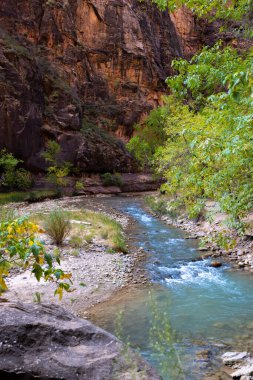 Utah 'taki Zion Ulusal Parkı' nın engebeli arazileri boyunca akan sakin bir nehir, canlı yapraklar ve yüksek kaya oluşumlarıyla çevrili, doğa tarafından kucaklanan nefes kesici bir deneyim sunuyor.