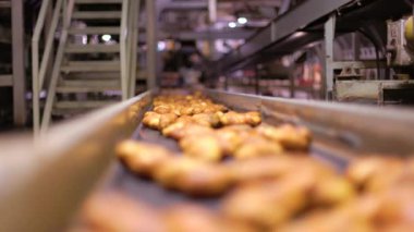 Patates fabrikasında, taze patatesler üretim sürecinin bir parçası olarak ağır çekimde taşıyıcı bir şeritte hareket ederek patates çiftçiliğinin ve işlemenin tarım ve endüstriyel yönlerini gözler önüne seriyor.
