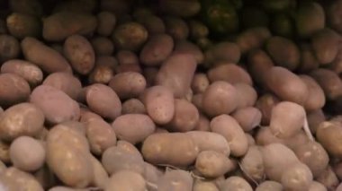 Yakın çekimler, çiftliklerde ya da fabrikalarda hasat ya da işleme sırasında taze patatesleri doğal hallerinde gösteriyor. Patatesler, gıda üretimi için tarımda yetişen işlenmemiş sebzelerdir.