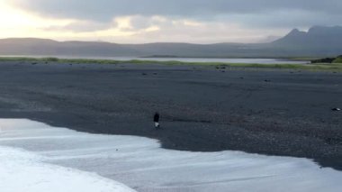 Çarpıcı hava görüntüleri İzlanda kıyı manzarasının dingin güzelliğini yakalar. Şafak ışığı dağları ve kıyı şeridini aydınlatıyor, nefes kesici bir manzara yaratıyor.