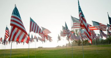 11 Eylül ve 4 Temmuz kutlamaları gibi önemli olaylara ait birlik ruhunu, ortak değerleri ve anıları simgeleyen sayısız Amerikan bayraklarının huzurlu ve güzel bir gösterisi.