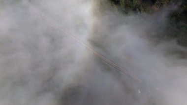 Oregon sahil yolunun hava manzarası sisli arabaları, güçlü kayalık kıyıları ve kumlu sahillerin etrafındaki yemyeşil ormanları güneşli bir günde güzel bir şekilde doğa görüntüsü yakalıyor.