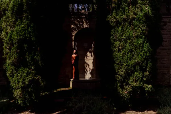 Bu çarpıcı ve büyüleyici nişan fotoşopu, doğadaki birliği ve birlikteliği sembolize eden muhteşem yeşillikler arasında eşsiz bir aşk hikayesi ve romantik bir yolculuk yakalamış.