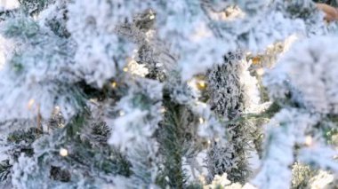 Yumuşak, parıldayan ışıklarla süslenmiş güzel, buzlu bir Noel ağacı harika bir atmosfer yaratır ve tatil sezonunda herkesi büyüleyen büyülü bir kış ortamı yaratır.