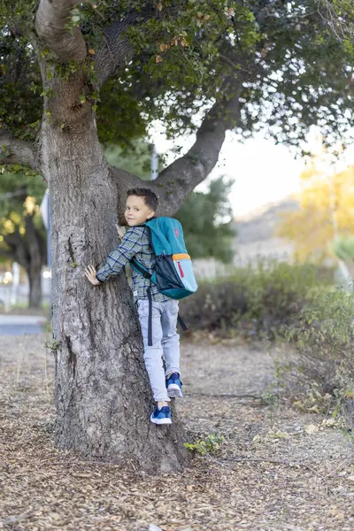 Renkli ekose gömlekli canlı bir çocuk güneşli bir günde doğayı keşfetmeye hevesli yaşlı bir ağaca tırmanır. Yanında güvenilir sırt çantasıyla her anın tadını çıkarır. Maceraya hazırdır.