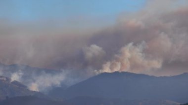 Malibu Yangını Los Angeles 'ta geniş çaplı bir yıkıma yol açtı. Acil durum ekipleri bölgedeki orman yangınlarıyla mücadele ederken pek çok evi kaybetti.