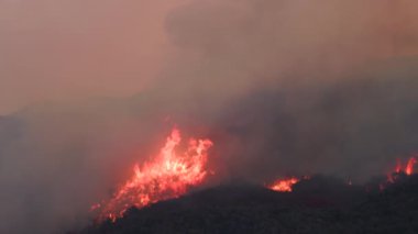 Yangınlar Los Angeles 'ı kasıp kavuruyor, manzaraları yıkıyor ve evleri yıkıyor. İtfaiyeciler ve uçaklar halkı ve çevreyi tehdit eden şiddetli yangınlarla aktif olarak mücadele ediyorlar.