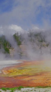 Yellowstone Ulusal Parkı 'nda bulunan nefes kesici jeotermal harikaları keşfedin ve keşfedin. Canlı renkler ve buhar bacaları görkemli doğal bir arka plana karşı çarpıcı bir manzara yaratıyor.