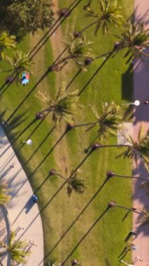 Bu çarpıcı hava perspektifi Miami Beach, Florida 'da bulunan palmiye ağaçlarını ve dolambaçlı yolları güzel bir şekilde sergiliyor. Bu da onu gelecekteki maceralar için ideal bir seyahat kaynağı yapıyor.