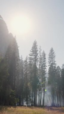 Yosemite Ulusal Parkı 'nın nefes kesen ve hayranlık uyandıran manzarasını keşfedin, yüksek ağaçlar ve çeşitli çarpıcı manzaralar, heyecan verici açık hava maceraları için mükemmeldir.