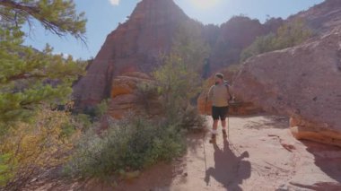 Kararlı bir gezgin, Zion Ulusal Parkı 'nda nefes kesen manzaralar ve yüksek kaya oluşumlarıyla çevrili heyecan verici bir yürüyüşe çıkar ve unutulmaz bir deneyim yaratır.