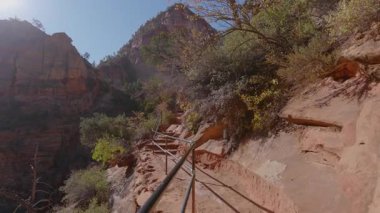 Zion Ulusal Parkı 'nın nefes kesici patikalarını ve çarpıcı manzaralarını keşfedin. Doğayı keşfetmek ve etraflarındaki sıradan dünyadan kaçmak isteyen maceraperest gezginler için gerçek bir mücevher.