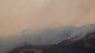 Los Angeles yakınlarında yoğun duman ve görünür alevlerle bir orman yangını var. İtfaiyeciler acilen müdahale ediyor. Bölgeyi tehdit eden bu felaketle savaşmak için hava desteğini kullanıyorlar.