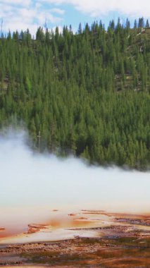 Yellowstone Ulusal Parkı 'ndan nefes kesici bir manzara her ziyaretçiyi cezbeden canlı ve renkli jeotermal özellikleri vurgulayan gizemli bir sisle kaplanmış yemyeşil ormanları sergiliyor.