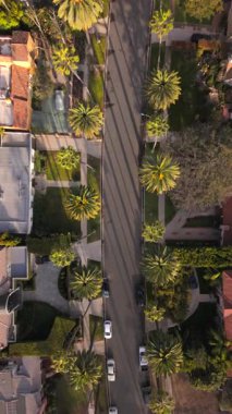 Beverly Hills 'teki gösterişli palmiye kaplı sokaklar ve lüks evler, Los Angeles' ın canlı şehrinde, tüm izleyicileri büyüleyen çarpıcı bir deneyim sunuyor.