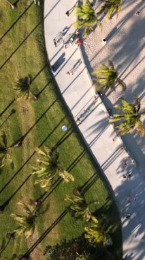 Bu çarpıcı hava çekimi Miami Sahilleri 'nin ikonik palmiye ağaçlarını güzel bir şekilde yakalıyor, canlı yeşil çimenlerin üzerine neşeli gölgeler düşürüyor, kaşifler için ideal bir seyahat kaynağı haline getiriyor.
