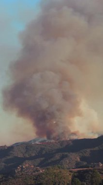 Palisades, Los Angeles 'taki büyük bir yangından yoğun bir duman yükseliyor. İtfaiyeciler, çevre ve çevreyi tehdit eden yangını kontrol altına almak için çok çalışıyorlar.